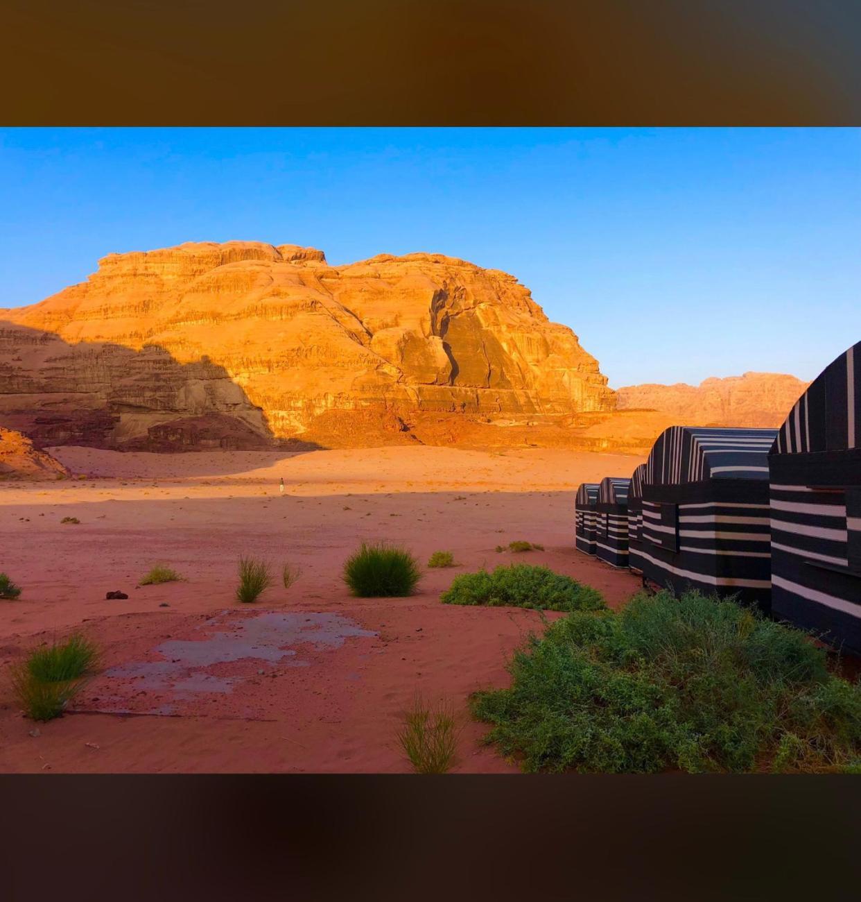 Bedouin Holidays Camp And Jeep Tours Wadi Rum Exteriér fotografie
